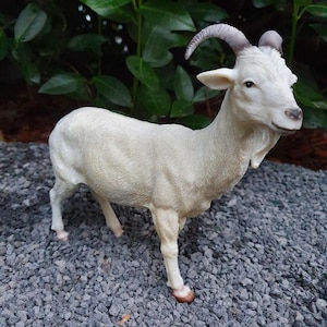 Op de afbeelding: Een witte geitenfiguur met gebogen hoorns en een kleine baard. De geit staat op een bed van grijs grind, met groene bladeren op de achtergrond. Het beeldje heeft gedetailleerde kenmerken en een realistische uitstraling.