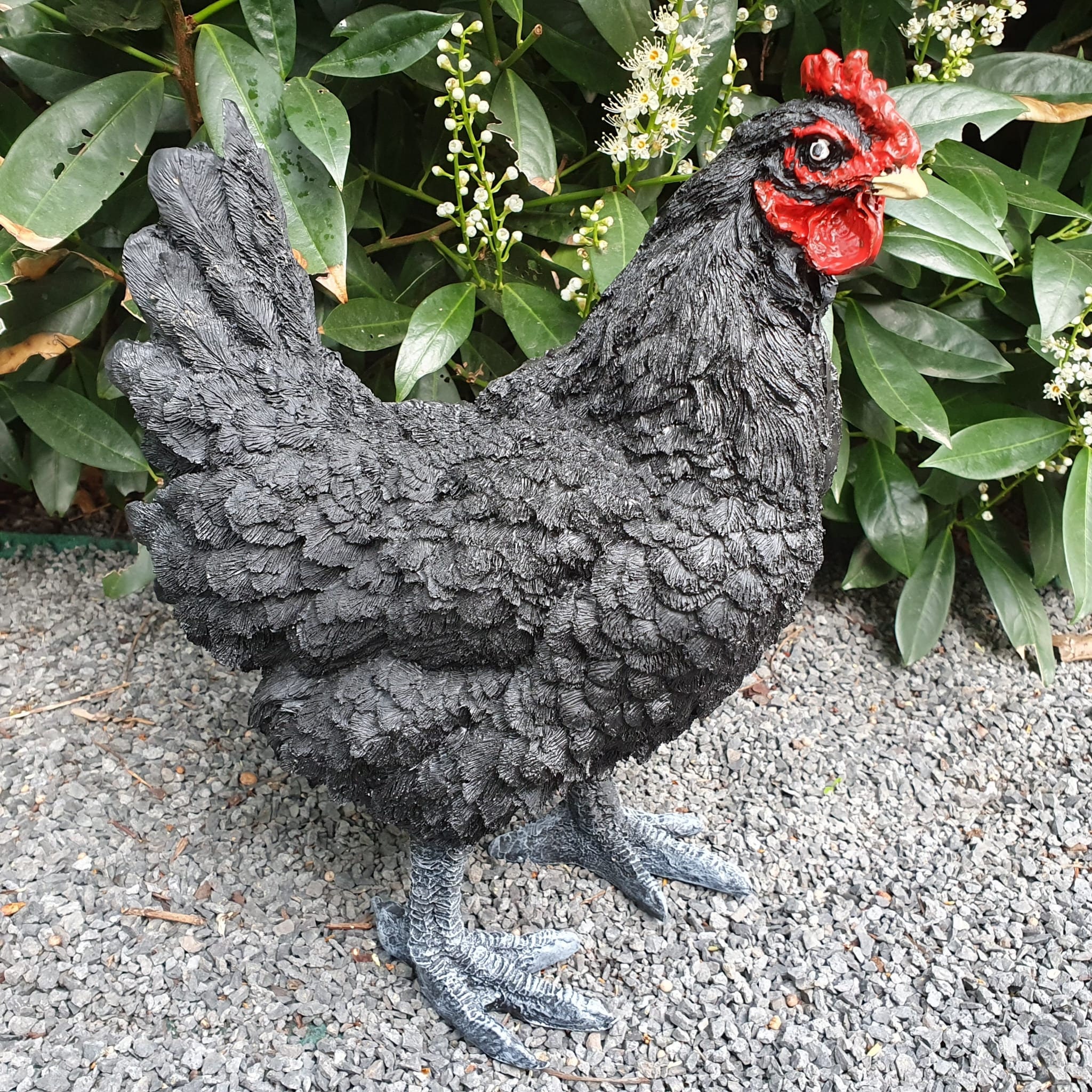 Garden figure black chicken figure 34 cm, figure for the garden