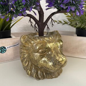 Puede incluir: Un macetero de cabeza de león dorado con una pequeña planta morada que crece en él.