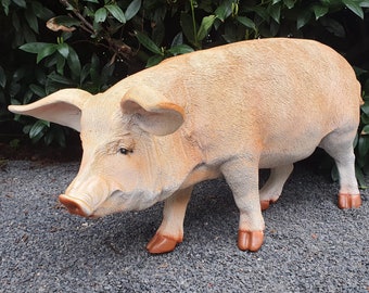 Gartenfigur Schweine Figur 83 cm lang