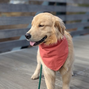 Beach Bandana - Nantucket Red