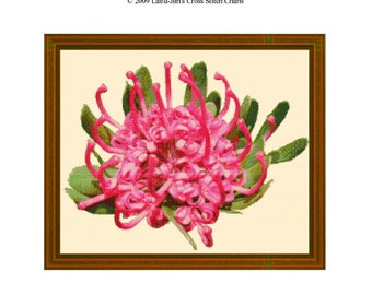 WARATAH - cross stitch chart