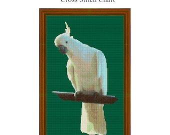 INQUISITIVE COCKATOO - cross stitch chart