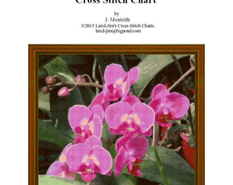 ORQUÍDEA - gráfico em ponto cruz