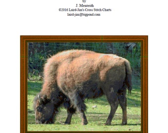BISON- Kreuzstichvorlage