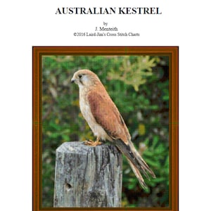 AUSTRALIAN KESTREL- cross stitch chart