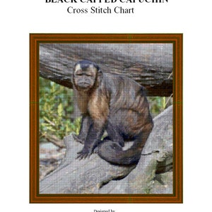 BLACK CAPPED CAPUCHIN - cross stitch chart