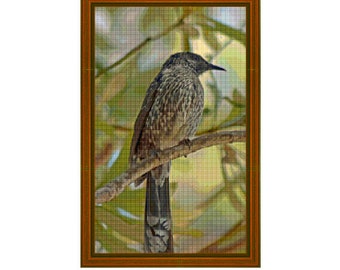LITTLE WATTLEBIRD - diagrama de punto de cruz