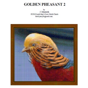 GOLDEN PHEASANT 2 - cross stitch chart