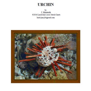 Puede incluir: Un patrón de punto de cruz de un erizo de mar rojo y blanco, rodeado de rocas y coral. El patrón está enmarcado en un marco de madera marrón. El título del patrón es "URCHIN" y el artista es J. Menteith.