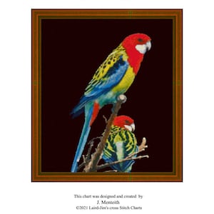 EASTERN ROSELLA - Kreuzstichvorlage