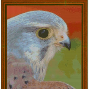 MALE KESTREL - cross stitch chart
