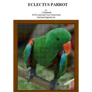 ECLECTUS PARROT - cross stitch chart
