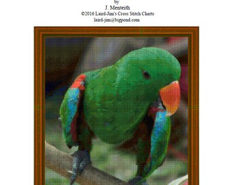 ECLECTUS PARROT - cross stitch chart