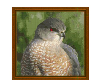 COOPERS HAWK - Cross Stitch Chart