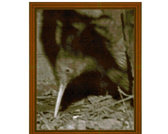 KIWI - cross stitch chart
