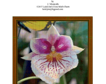ORQUÍDEA VELHO - gráfico em ponto cruz