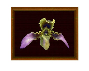 ORQUÍDEA IRIDESCENTE - Gráfico em Ponto Cruz