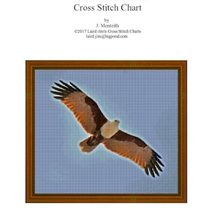 BRAHMINY KITE Cross Stitch Chart