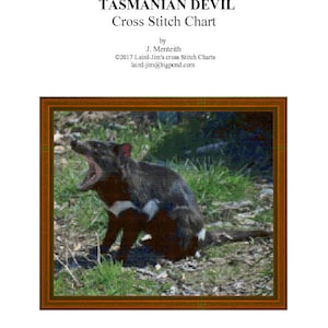 TASMANIAN DEVIL - cross stitch chart