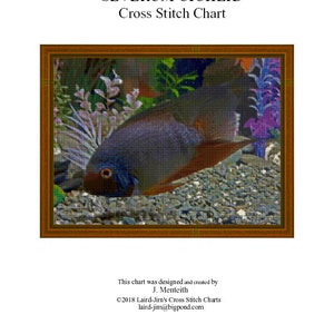 SEVERUM CICHLID - cross stitch chart