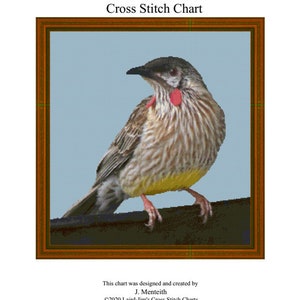 RED WATTLEBIRD - cross stitch chart