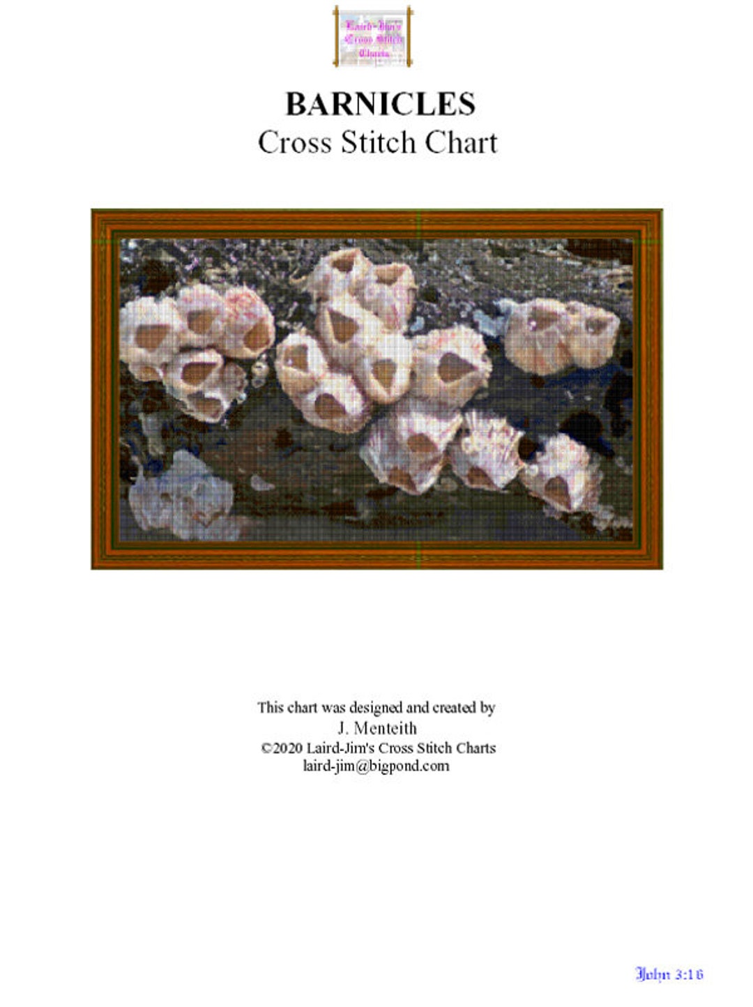 BARNICLES - Cross Stitch Chart - Etsy