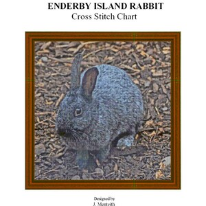 ENDERBY ISLAND RABBIT - cross stitch chart