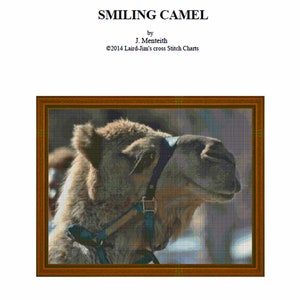 SMILING CAMEL - cross stitch chart