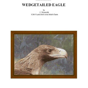 KEILSCHWANZ ADLER - Kreuzstichvorlage