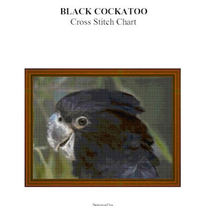 BLACK COCKATOO - cross stitch chart