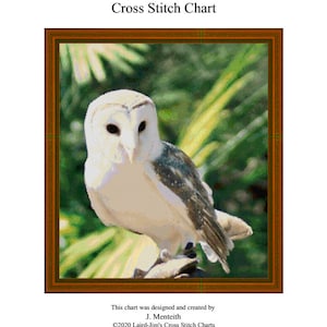 EASTERN BARN OWL -cross stitch chart