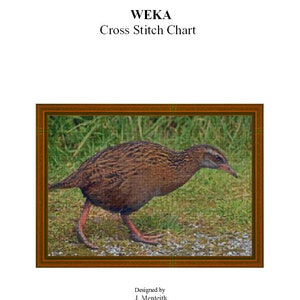 WEKA - diagrama de punto de cruz