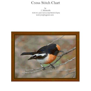 RED CAPPED ROBIN - cross stitch chart