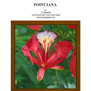 POINCIANA - cross stitch chart