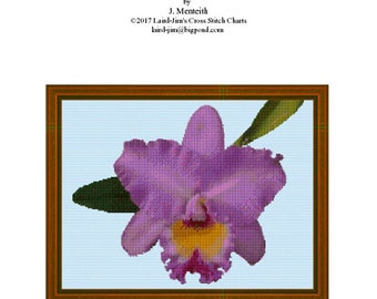 ORQUÍDEA 2 - gráfico em ponto cruz