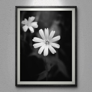Black and White Flower Close-Up - Elegant Floral Wall Art. Digital download, Printable art.