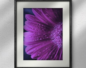 Purple Flower Macro Photography: Vivid Floral Print (Digital Download)