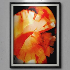 Abstract Photography Collage . Orange , Red and Gold Closeups of Flowers. Abstract Printable Art, Digital Download, Abstract Digital Print
