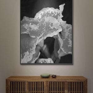 Black and White Iris Photograph. Elegant Floral Wall Art. Digital download, Printable art.