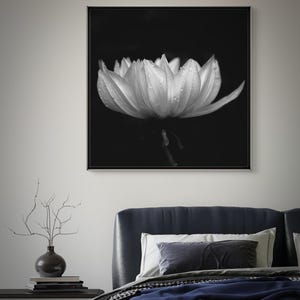 Black and White Flower Close-Up with Water Droplets - Captivating Floral Wall Art. Digital download, Printable art.