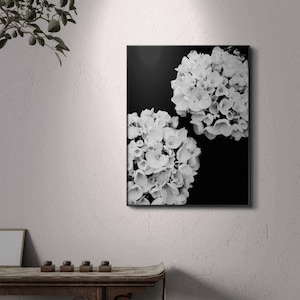 Black and White Hydrangea Clusters - Elegant Floral Wall Art. Digital download, Printable art.