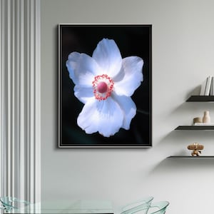 Puede incluir: Un primer plano de una flor blanca con un centro rosa. La flor está enfocada, mientras que el fondo está desenfocado.