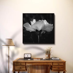 Black and White Flower Photograph. Elegant Floral Wall Art. Digital instant download, Printable art.