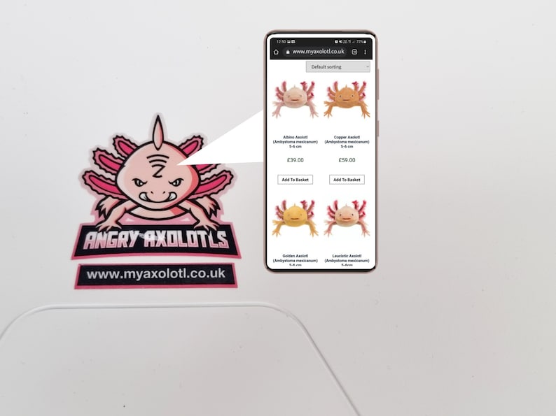 Axolotl Tank Kit Full Aquarium Set up 60cm. Price Includes Delivery