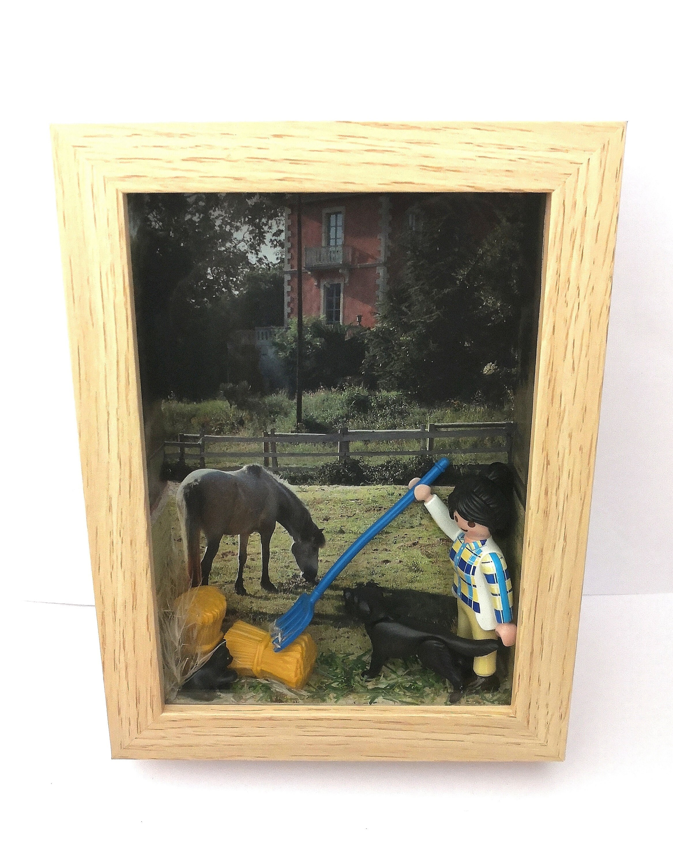 Cadre Scène de Vie Playmobil