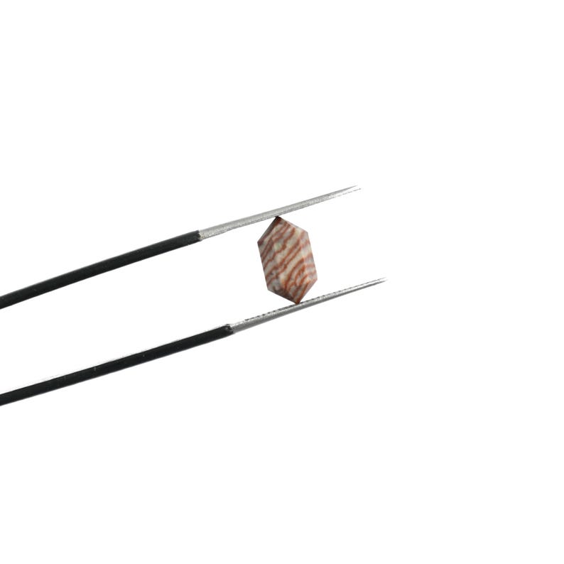 May include: A small, hexagonal gemstone with alternating bands of reddish-brown and cream colours. The stone is held by a pair of black-handled tweezers against a white background. The gemstone's unique pattern is clearly visible.