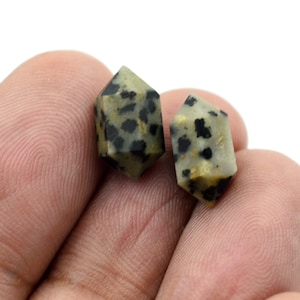 以下が含まれることがあります： 2つのダルメシアンジャスパーのダブルターミネーションポイント。1つは黒の斑点のある明るい緑の色合い、もう1つは黒の斑点のある暗い緑の色合いである。