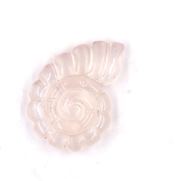 Piedra preciosa de cuarzo rosa natural para hacer joyas, 17x24 mm, gemas en forma de concha de Nautilus talladas a mano, cristales tallados, regalos para ella