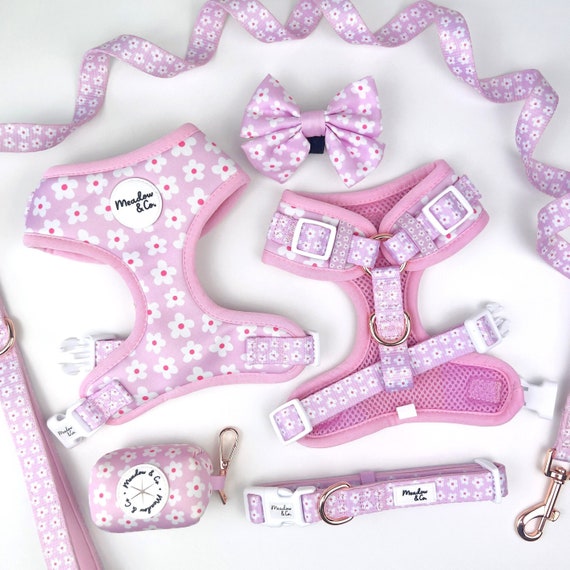 Cute girly dog harness deals